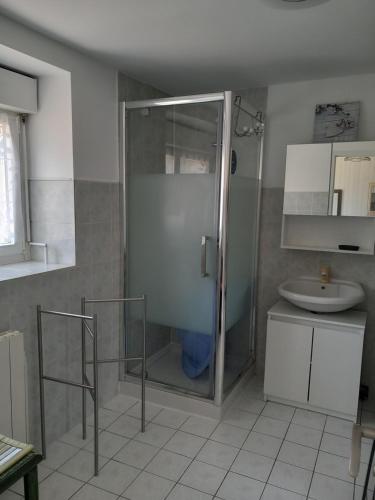 a bathroom with a shower and a sink at le gite du baron in Roz-sur-Couesnon