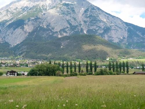a group of trees in a field with a mountain at Telfer Treasure: unkomplizierter Familienurlaub in Telfs