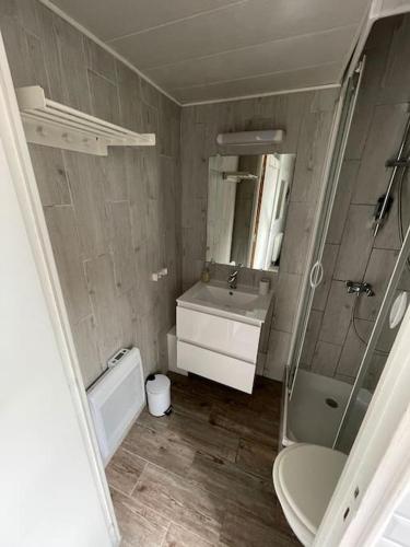 une salle de bain avec un lavabo, des toilettes et un miroir dans l'établissement Lazare Home, à Angers