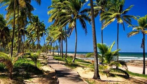 a path on a beach with palm trees and the ocean at Hospedaria Guapê in Lauro de Freitas