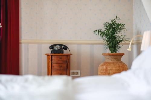 a plant sitting on top of a dresser in a room at Boutique Hotel Dobra Vila Bovec in Bovec