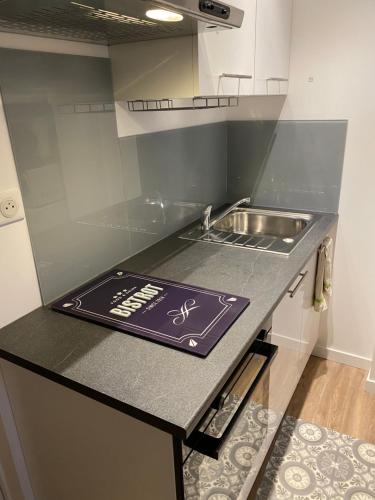 une cuisine avec un évier et un plan de travail dans l'établissement Charmant studio climatisé avec chambre séparée, à 3 kms de Biarritz et Bidart, à Arbonne