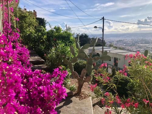Terrasse, vue mer & montagne, parking & clim