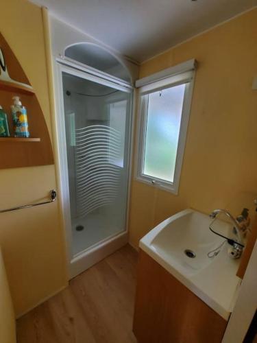 une salle de bain avec douche et lavabo dans l'établissement Mobile home des bois, à Rouffignac-Saint-Cernin-de-Reilhac