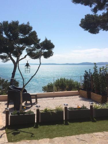 une statue d'un chien assis sur un banc à côté d'un arbre dans l'établissement Maisonnette vue mer, à Carqueiranne