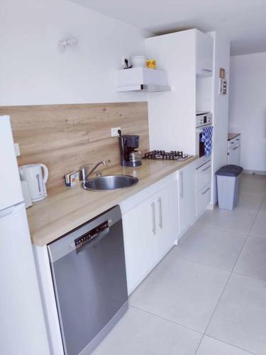 une cuisine avec un évier et un plan de travail dans l'établissement Gîte des Prés, à La Noë-Blanche