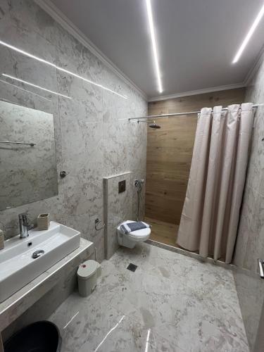 a bathroom with a sink and a toilet and a shower at F&M House Semi Basement in Sarti