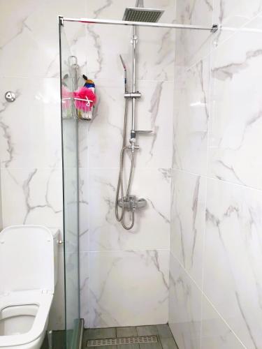 a bathroom with a shower and a toilet at VILLA ARHONTIKO in Asprovalta