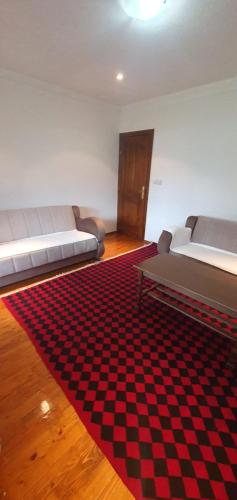 a living room with a couch and a red rug at Lake River Mountain in Plav