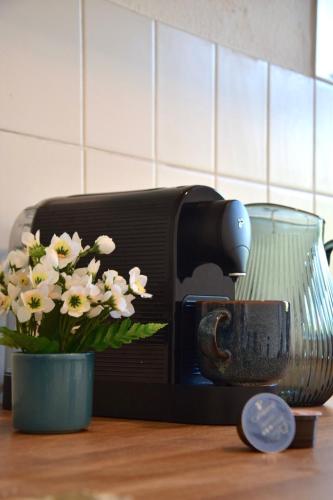 a toaster sitting on a counter next to a vase with flowers at charmanter Altbau in Schleußig mit Balkon in Leipzig