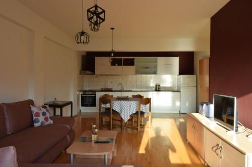 Cuina o zona de cuina de Velkovski Apartment