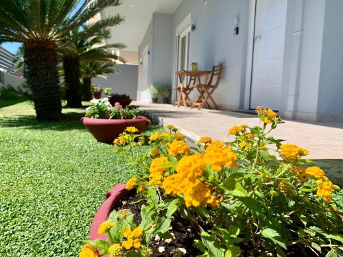 a garden with yellow flowers in a pink pot at Mint Luxury Residence in Spáta