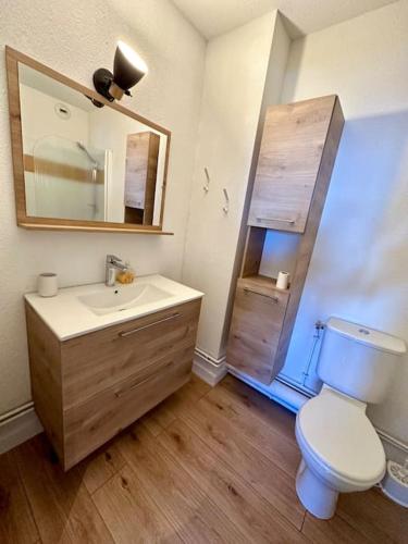 une salle de bain avec toilettes, lavabo et miroir dans l'établissement Studio au pied des pistes avec vue sur la vallée, à Ustou