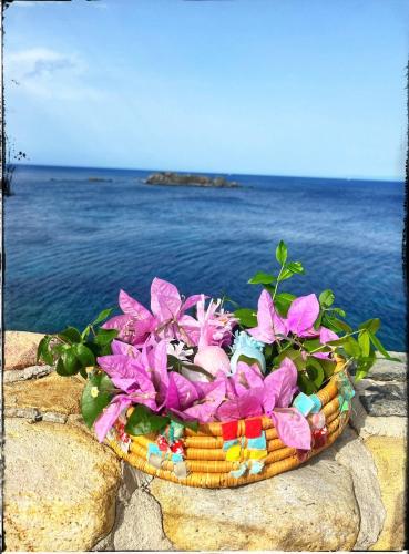 a basket of flowers sitting on a wall near the water at Ichnos experience room in Villasimius