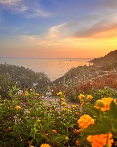 a view of the ocean from a field of flowers at Ichnos experience room in Villasimius