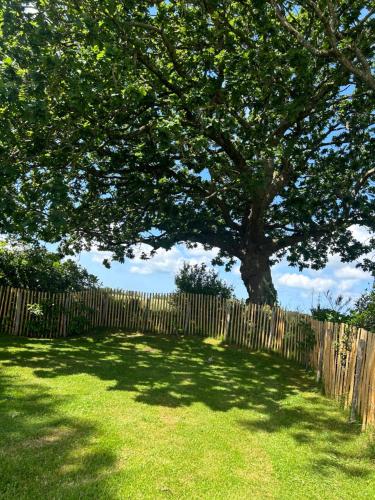 a wooden fence with a tree in a yard at Ty Oliv- entre terre et ocean in Plonéour-Lanvern