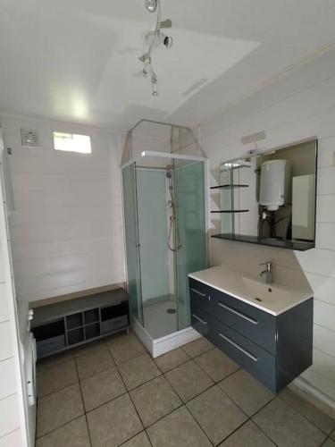 une salle de bain avec une douche, un lavabo et un miroir dans l'établissement Appartement indépendant - Toulon - Les Routes, à Toulon