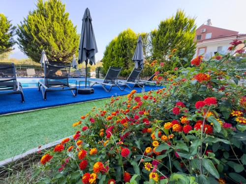 Κήπος έξω από το Sardunya Hotel