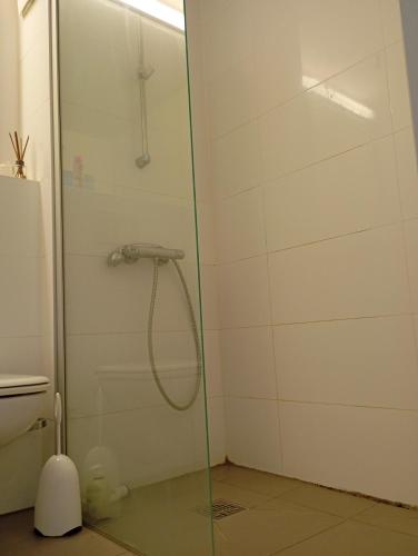 a shower with a glass door in a bathroom at Studio Suite near University in Bremen