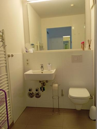 ein Badezimmer mit einem Waschbecken, einem WC und einem Spiegel in der Unterkunft Studio Suite near University in Bremen
