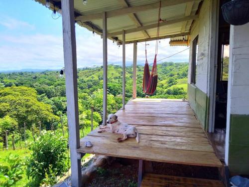a dog laying on a porch of a house at La Parada del Pelicano, El Ranchito Surf in Malena
