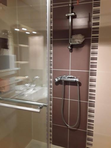 une douche dans une salle de bain avec un lavabo dans l'établissement Charmant appartement avec espace détente, à Saint-Étienne-en-Dévoluy