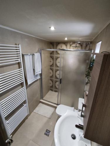 a bathroom with a shower and a toilet and a sink at Pelion bee guesthouse in Portaria
