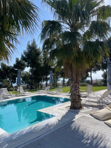 una piscina con sedie e una palma di Pine Resort a Polykhrono