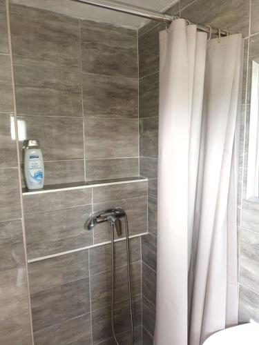 a bathroom with a shower with a shower curtain at Rural Resort Tron - Rooms in Plužine
