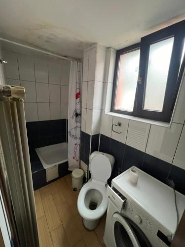 Koupelna v ubytování Costin