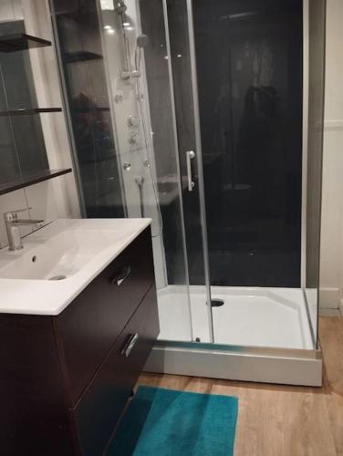 une salle de bain avec une douche et un lavabo et une douche dans l'établissement Maison de campagne, cottage, à Saint-Genès-la-Tourette