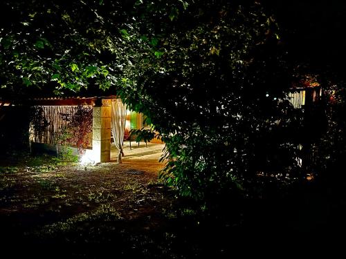 a view of a house through a tree at Domaine Plan des Devens in Roussillon