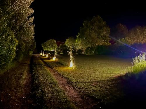 a row of lights in a field at night at Domaine Plan des Devens in Roussillon