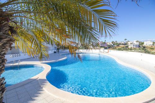 a swimming pool next to a beach with a palm tree at Renovated 2BD AC Wi-Fi Pool Beach 350m in Porches