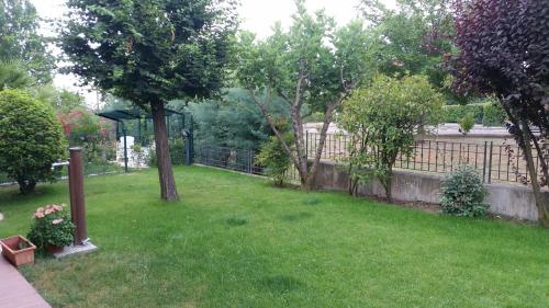 a yard with a fence and a tree and grass at La Mimosa in Dozza