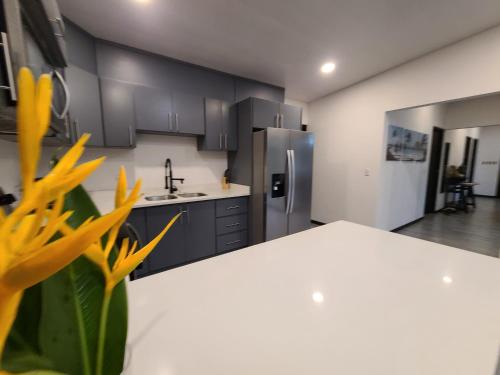a kitchen with black cabinets and a white counter top at Villa Elenita - Pura Vida in Parrita