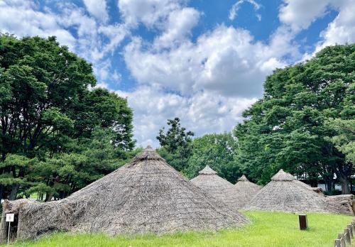 a group of straw huts in a field with trees at 갓성비 암사역 도보 Yes24live 암사종합시장 한강공원 KSPO 2룸 2퀸 침대 in Seoul