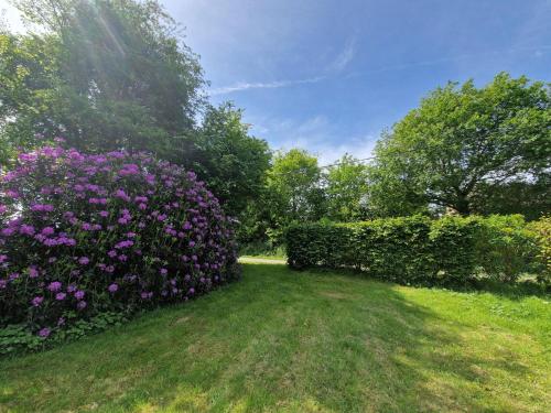 Κήπος έξω από το Apartment in Brittany near Sandy Beaches