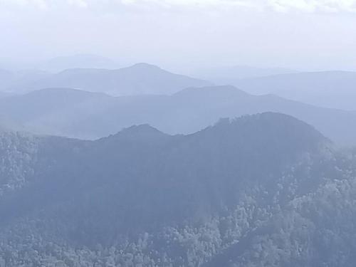 a view of a mountain with trees in the background at The Cabin Barrington Tops Your Eco Place in Nature in Chichester