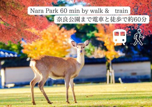 a deer standing in the grass in a park at EHON HOUSE in Uji Kyoto in Uji