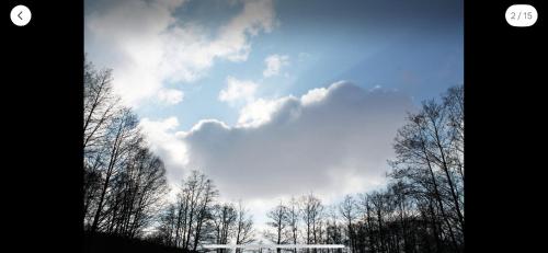 a group of trees and a cloudy sky at Glamping Off-Grid Karlovy Vary in Bochov