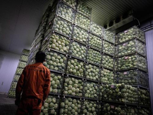 a man standing in front of a wall of apples at Hotel Taiyo Noen Nibancho in Matsuyama