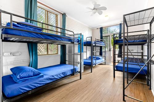 a group of bunk beds in a room at Newtown Backpackers in Sydney