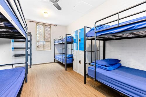 a room with three bunk beds in it at Newtown Backpackers in Sydney