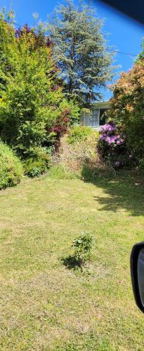 a yard with trees and bushes and a house at Lodge on Hautapu in Taihape