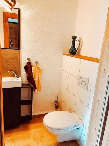 a bathroom with a toilet and a sink at Zottlhoamat in Matrei in Osttirol