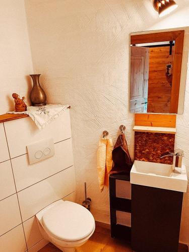 a bathroom with a toilet and a sink at Zottlhoamat in Matrei in Osttirol