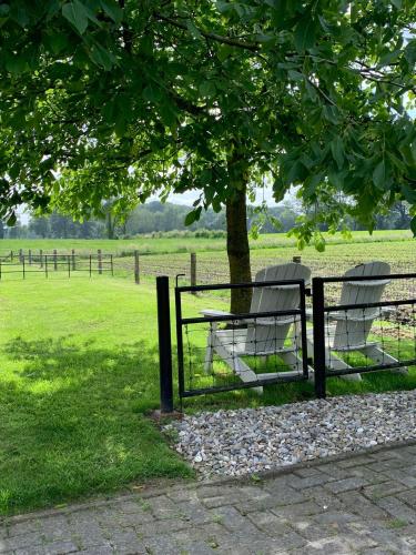 two chairs sitting under a tree in a field at Vakantiehuis de Haar Ambt-Delden in Ambt Delden