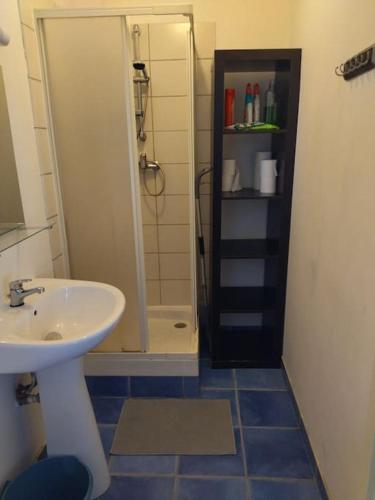 une salle de bain avec un lavabo et une douche dans l'établissement Appartement Brest Saint Martin, à Brest