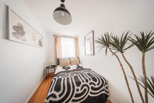 Central City Lofts